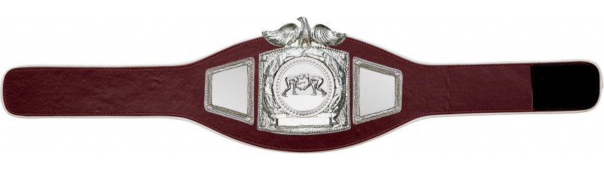 PROEAGLE GRAPPLING CHAMPIONSHIP BELT - PROEAGLE/S/GRAPS - AVAILABLE IN 6+ COLOURS